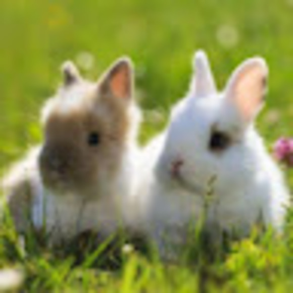 hannah_slaiby